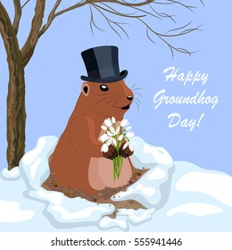 Vector illustration with a cute groundhog in a black hat holding a bouquet of flowers out of a hole. Happy Groundhog day lettering greeting card.