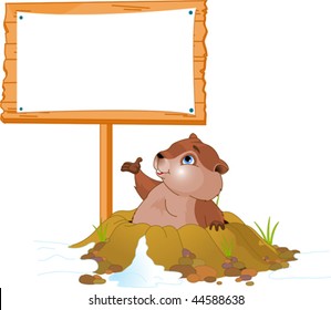 Vector illustration of a cute groundhog popping out of a hole near billboard