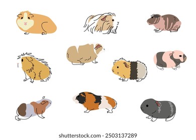 A vector illustration of Cute Guinea Pig Pet Icons