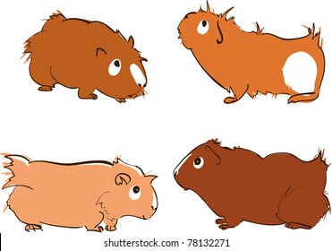 Vector illustration of cute guinea pigs