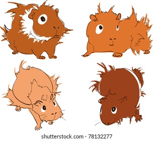 Vector illustration of cute guinea pigs