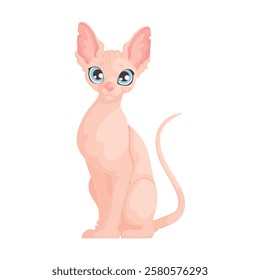 Vector illustration of a cute hairless Sphynx cat with big blue eyes, sitting upright on a white background. Illustration of a Hairless Sphynx Cat