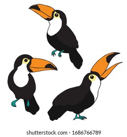 
Vector illustration of a cute hand drawing. tropical birds set. color toucan drawing, collection isolated on white background.