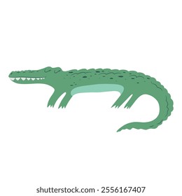 Vector illustration with cute hand drawn green crocodile isolated on white background. Adorable animal design illustration for card, wallpaper, poster, nursery decoration, fabric print