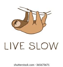 Vector illustration of cute hanging sloth