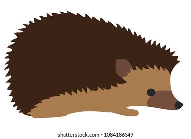 Vector illustration of cute hedgehog isolated on white background.