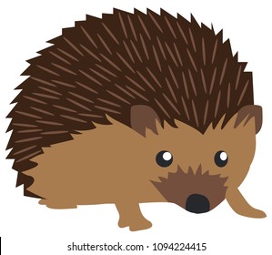 vector illustration of a cute hedgehog isolated on white background