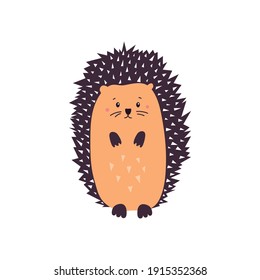 Vector illustration of cute hedgehog isolated on transparent background.