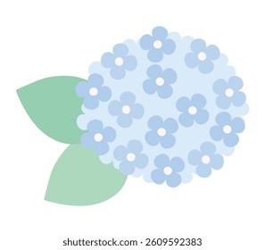 Vector illustration of cute hydrangeas in the rainy season