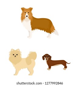 Vector illustration of  cute  and  icon. Collection of  cute  and  vector icon for stock.