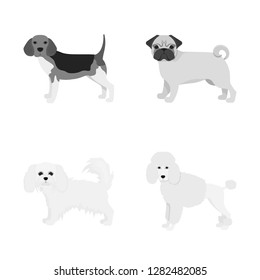 Vector illustration of  cute  and  icon. Collection of  cute  and  vector icon for stock.