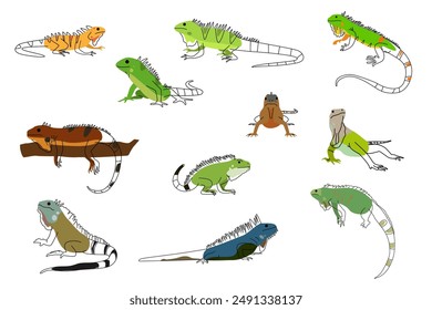 A vector illustration of Cute Iguana Pet Icons 