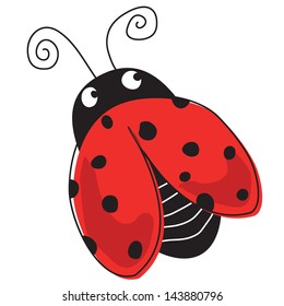 Vector illustration of a cute insect - Ladybug