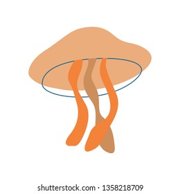 Vector illustration of cute jellyfish on a white background.