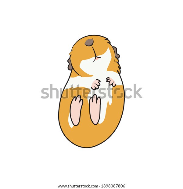 Vector Illustration Cute Kawaii Guinea Pig Stock Vector (Royalty Free ...