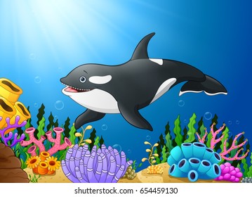 Vector illustration of Cute killer whale under water