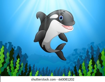 Vector illustration Cute killer whale under water