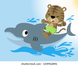 Vector illustration of cute kitten cartoon riding funny dolphin