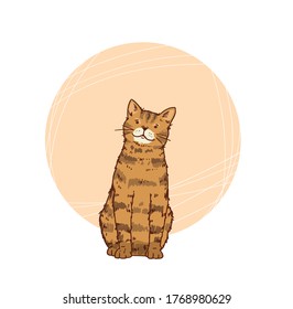 vector illustration cute kitty pet 