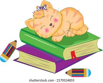 Imagen vectorial de un lindo gatito durmiendo en dos libros.