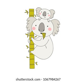 Vector illustration with cute koala and baby koala on tree