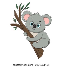 vector illustration of cute koala cartoon