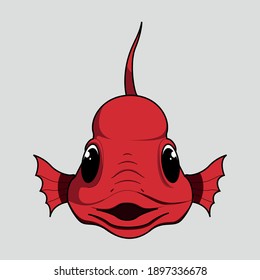 Vector illustration of cute koi fish in front view