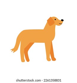 Vector illustration of cute labrador dog isolated on ehite background. 