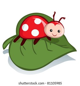 Vector illustration, cute lady bug on leaf, cartoon concept, white background.