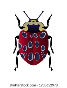 Vector illustration of a cute ladybird. Symmetrical vector beetle.