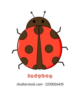 Vector illustration of cute ladybug cartoon isolated on white background