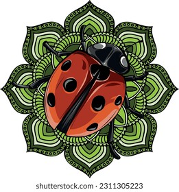 vector illustration of Cute ladybug cartoon design