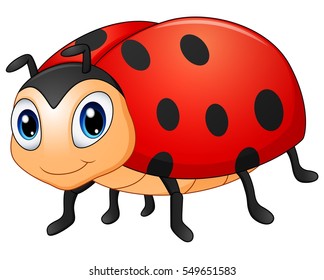 Vector illustration of Cute ladybug cartoon