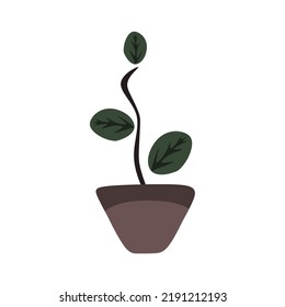 ilustración vectorial, maceta de planta de hojas tiernas, estilo de diseño de dibujos animados planos.