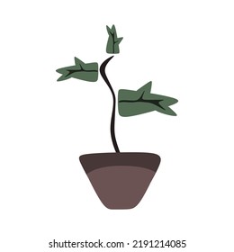 ilustración vectorial, maceta de planta de hojas tiernas, estilo de diseño de dibujos animados planos.