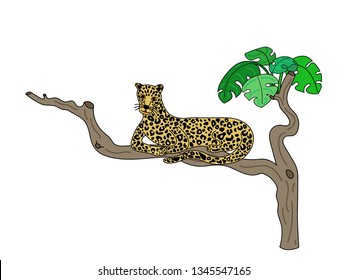 Vector illustration of cute leopard on tropical tree isolated on white background. With floral elements. Doodle hand drawn flat picture in trendy style