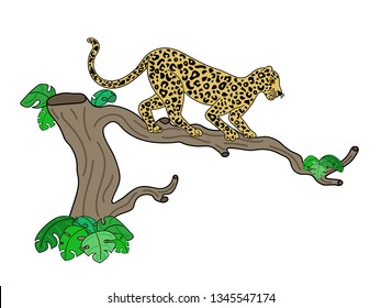 Vector illustration of cute leopard on tropical tree isolated on white background. With floral elements. Doodle hand drawn flat picture in trendy style