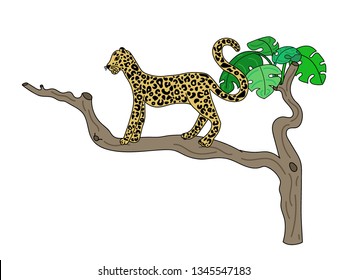 Vector illustration of cute leopard on tropical tree isolated on white background. With floral elements. Doodle hand drawn flat picture in trendy style