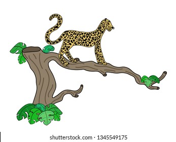Vector illustration of cute leopard on tropical tree isolated on white background. With floral elements. Doodle handdrawn flat picture in trendy style
