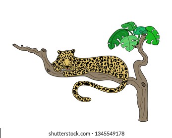 Vector illustration of cute leopard on tropical tree isolated on white background. With floral elements. Doodle handdrawn flat picture in trendy style