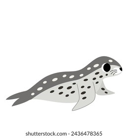 Vector illustration of cute leopard seal isolated on white background.