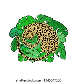 Vector illustration of cute leopard in tropical leaves isolated on white background. With floral elements. Doodle hand drawn flat picture in trendy style
