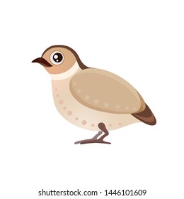 Vector illustration with cute little cartoon quail, flat icon of poultry quail isolated on white background, mascot, cartoon chicken in brown color, farm village partridge eps 10 pheasant sparrow