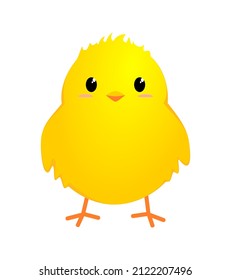 vector illustration of cute little chicks on white background