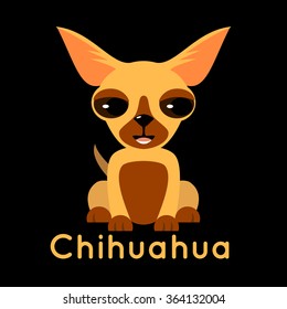 Vector illustration of cute little Chihuahua dog on black background. Made in flat cartoon style.