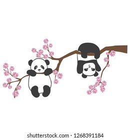vector illustration of cute little Panda on Sakura tree branch, flat design