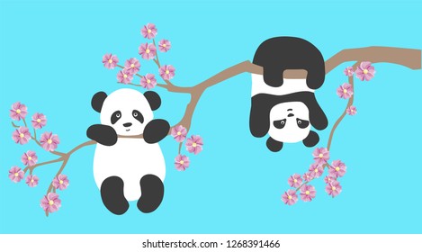 vector illustration of cute little Panda on Sakura tree branch, flat design