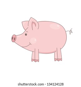 Vector illustration of cute little pig on white background.