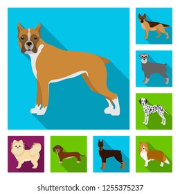 Vector illustration of  cute  and  logo. Collection of  cute  and  vector icon for stock.