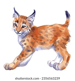 Vektorgrafik eines süßen Lynx-Kuchens.
